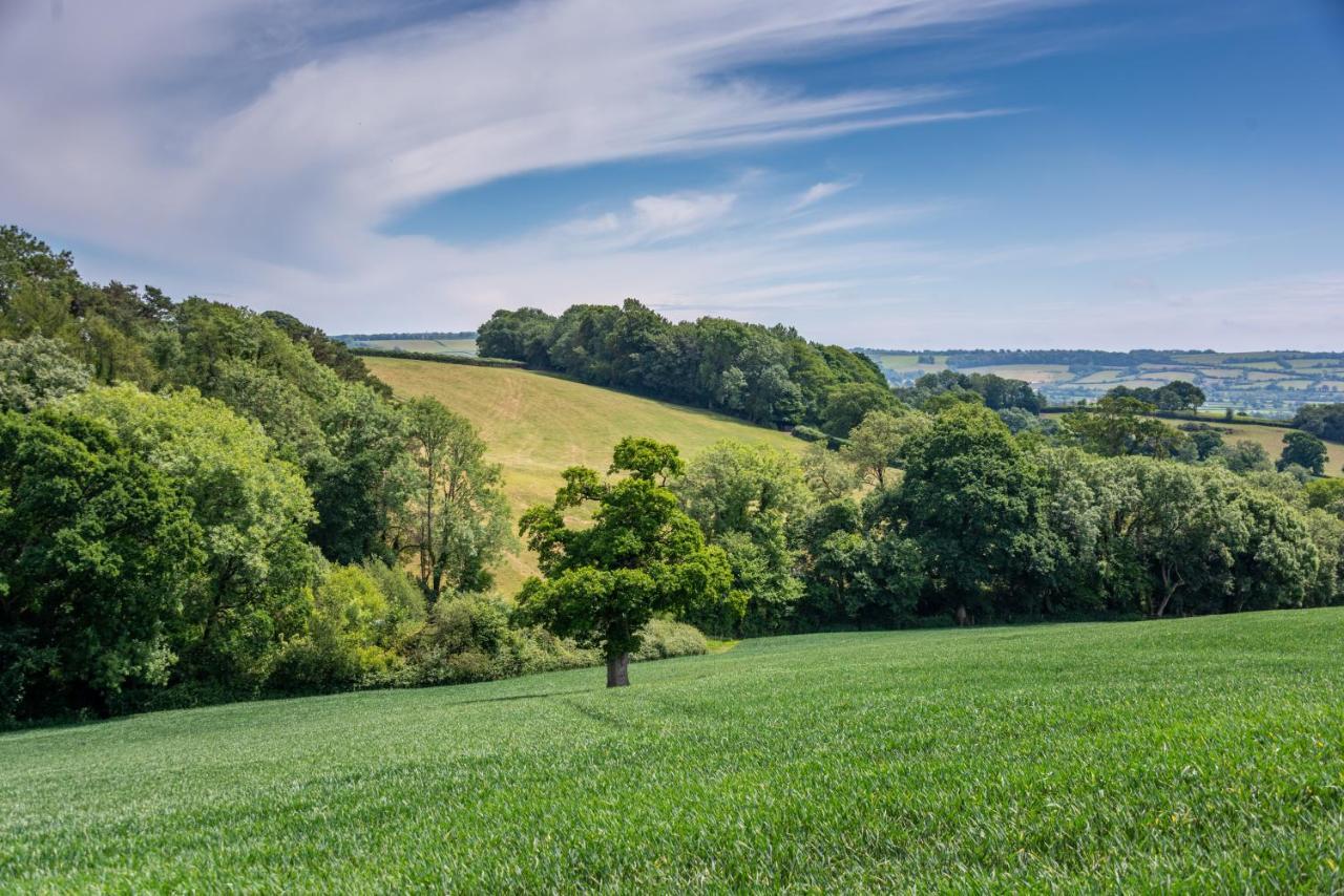 Valley Farm Holiday Cottages Аксминстер Экстерьер фото